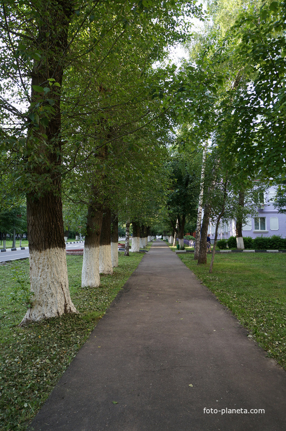 Посёлок Совхоза имени Ленина