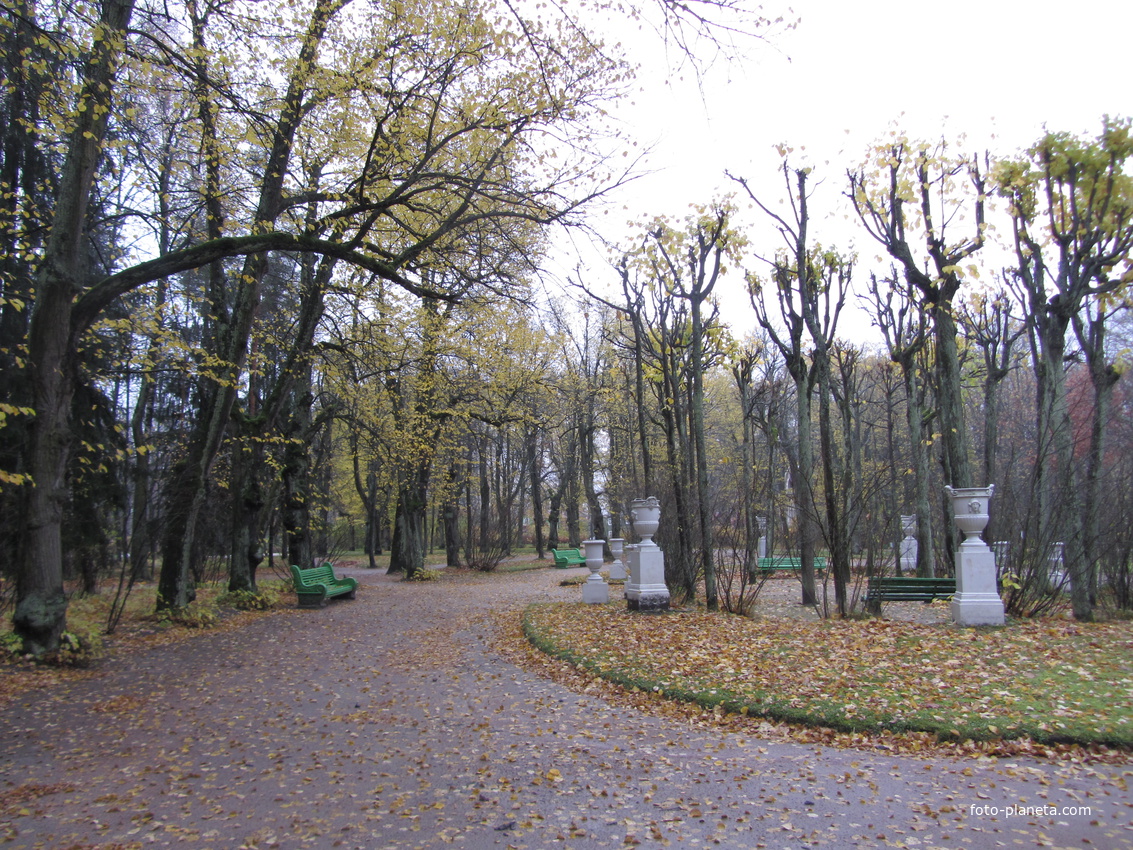 Глубины Павловского парка. ул. Садовая