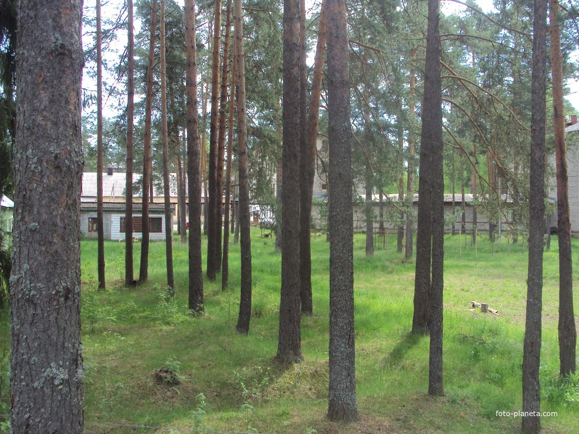 Царицыно Озеро