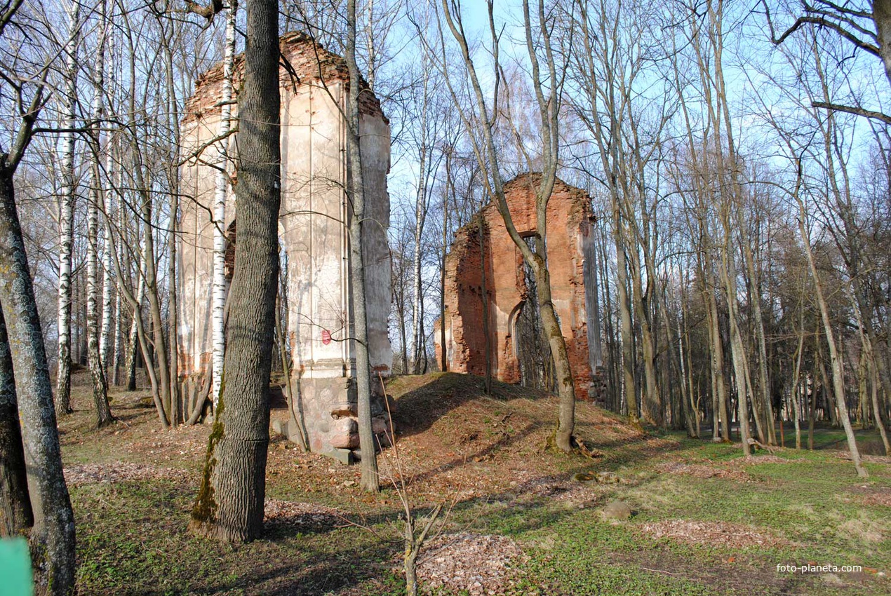 Руины замка Тышкевичей