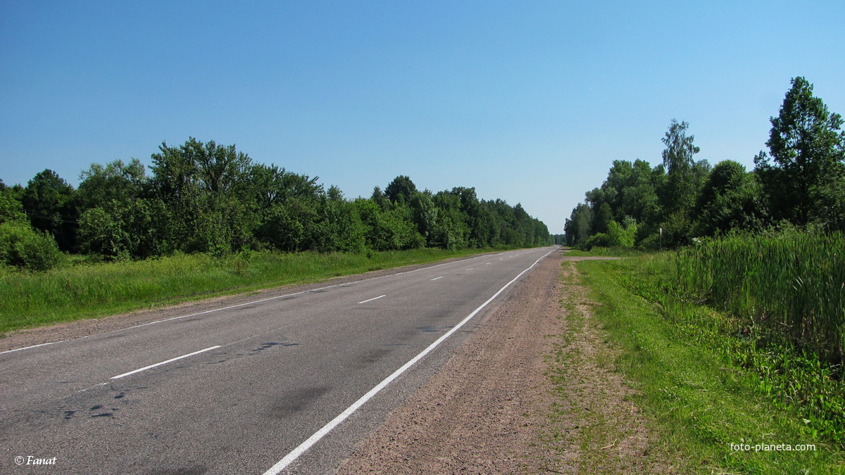 Дорога в сторону Овруча возле бывшей деревни