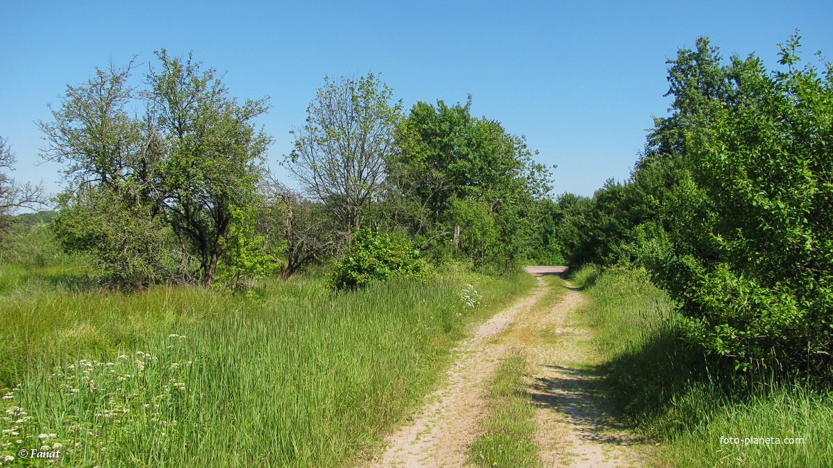 Дорога со стороны д. Богутичи (слева бывшая деревня)