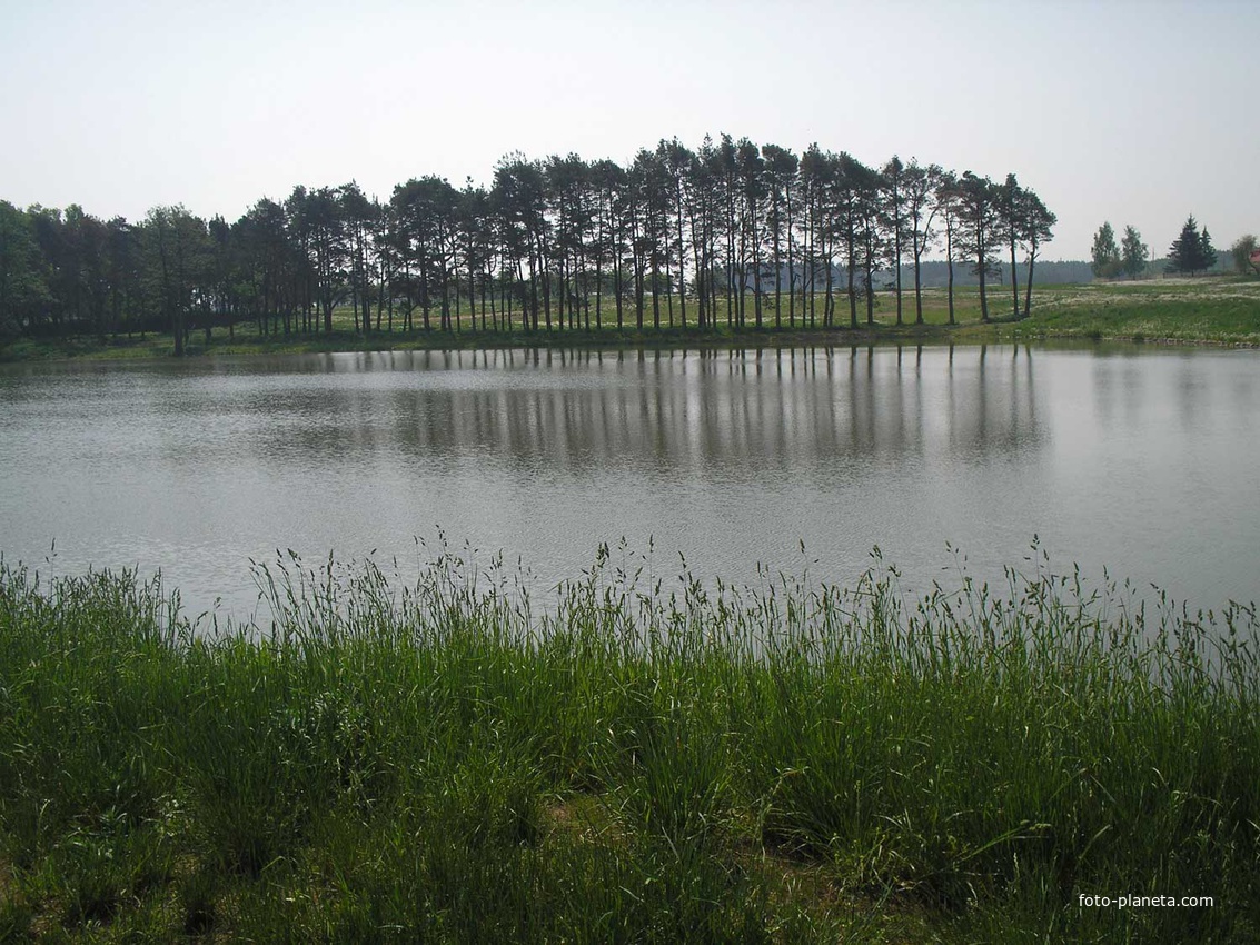 озеро возле замка