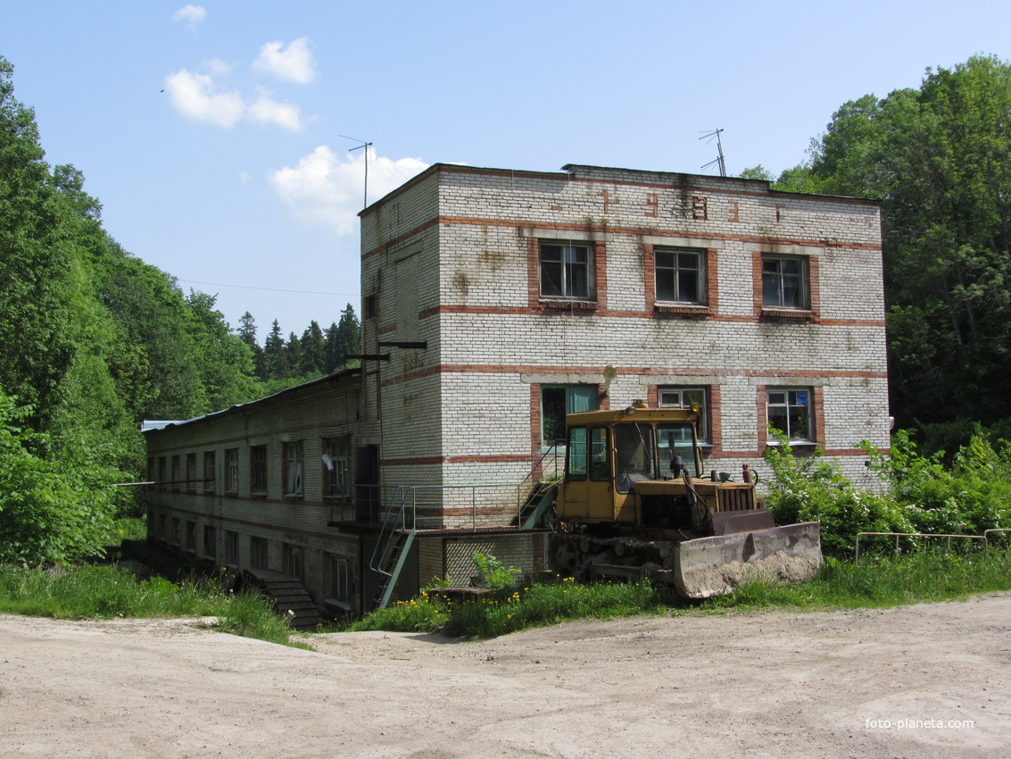 Погода лопухинка ломоносовского