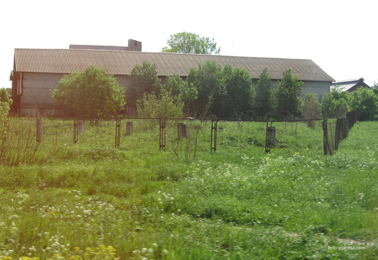 Петровское