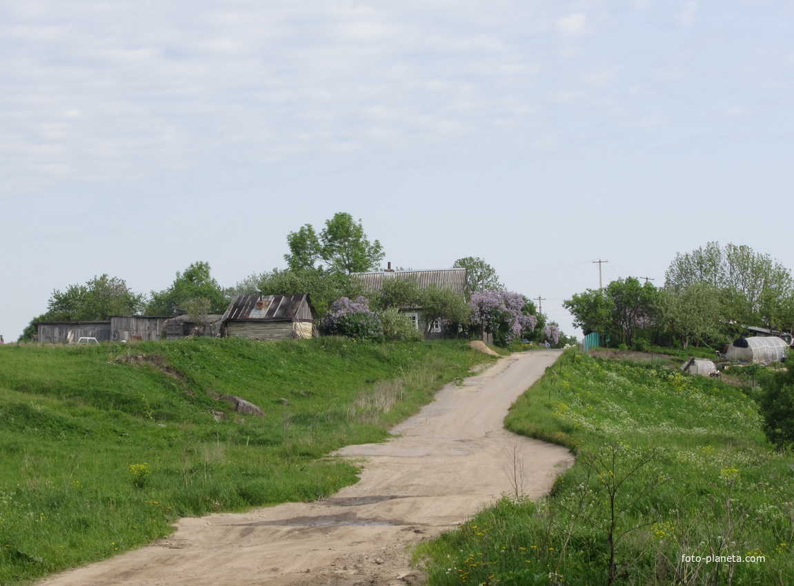 Вильповицы