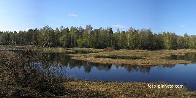 Барский луг р. Вёрдуга