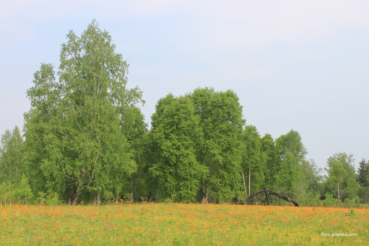 возле Ильбина недоходя до места-Карпаты