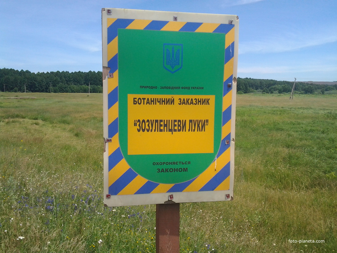 ЗОЗУЛИНЦЕВІ ЛУКИ