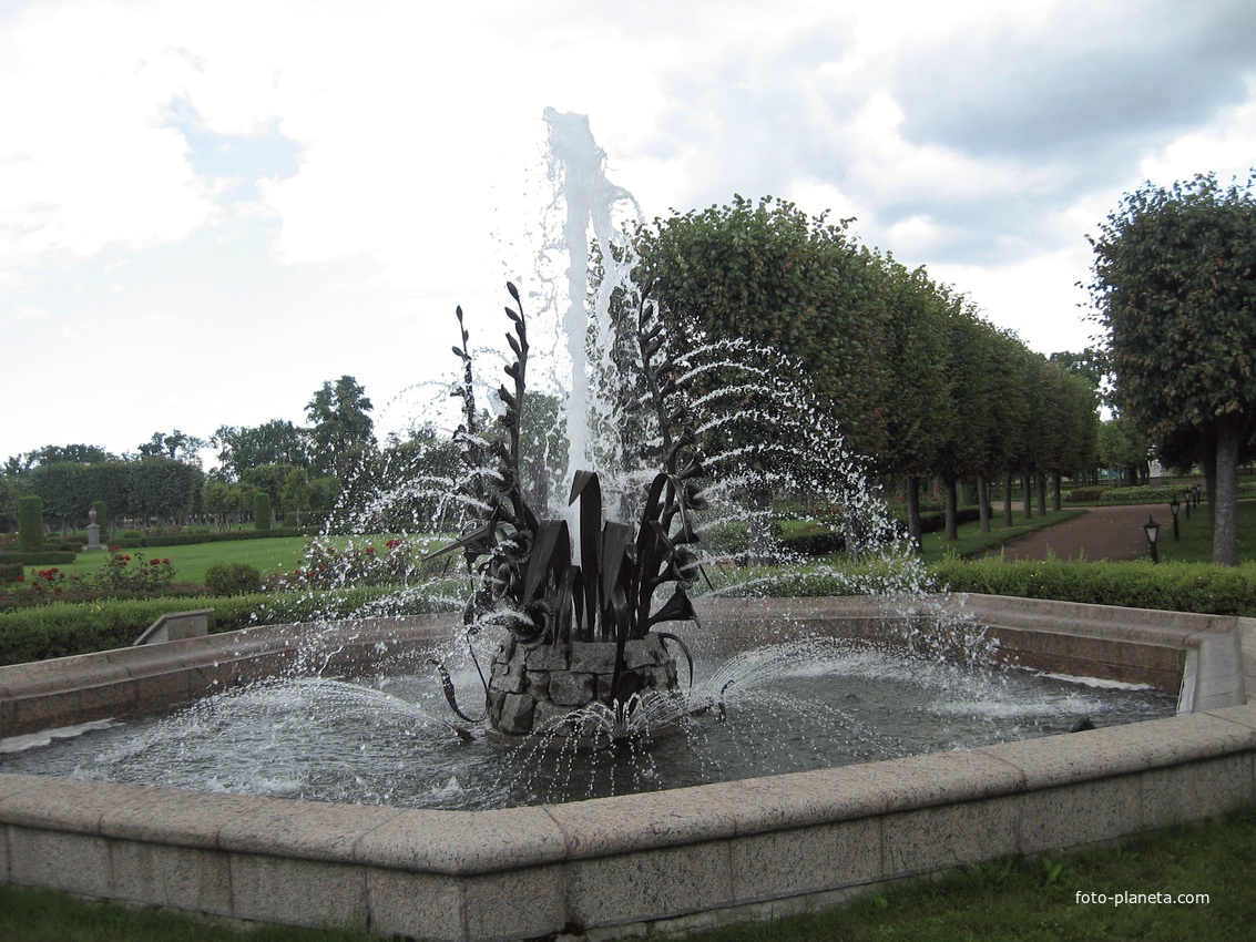 В парке фонтан Гладиолусы