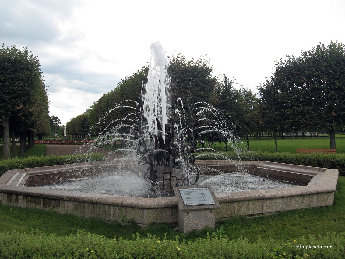 В парке фонтан Гладиолусы