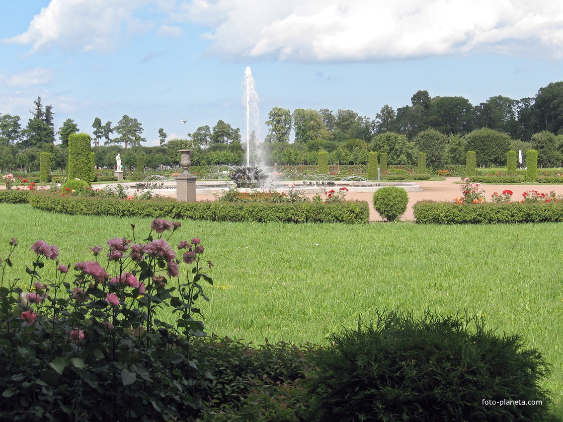 Фонтан Тюльпаны, другой ракурс