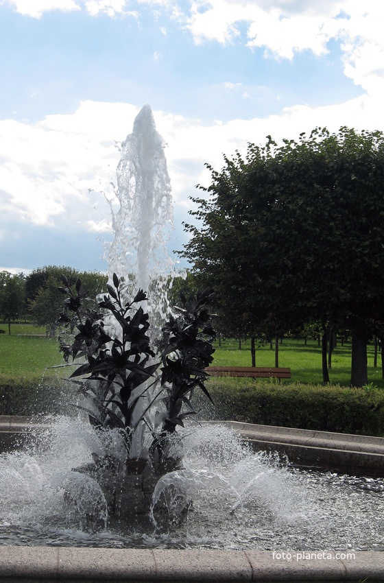 Фонтан Лилии,другой ракурс