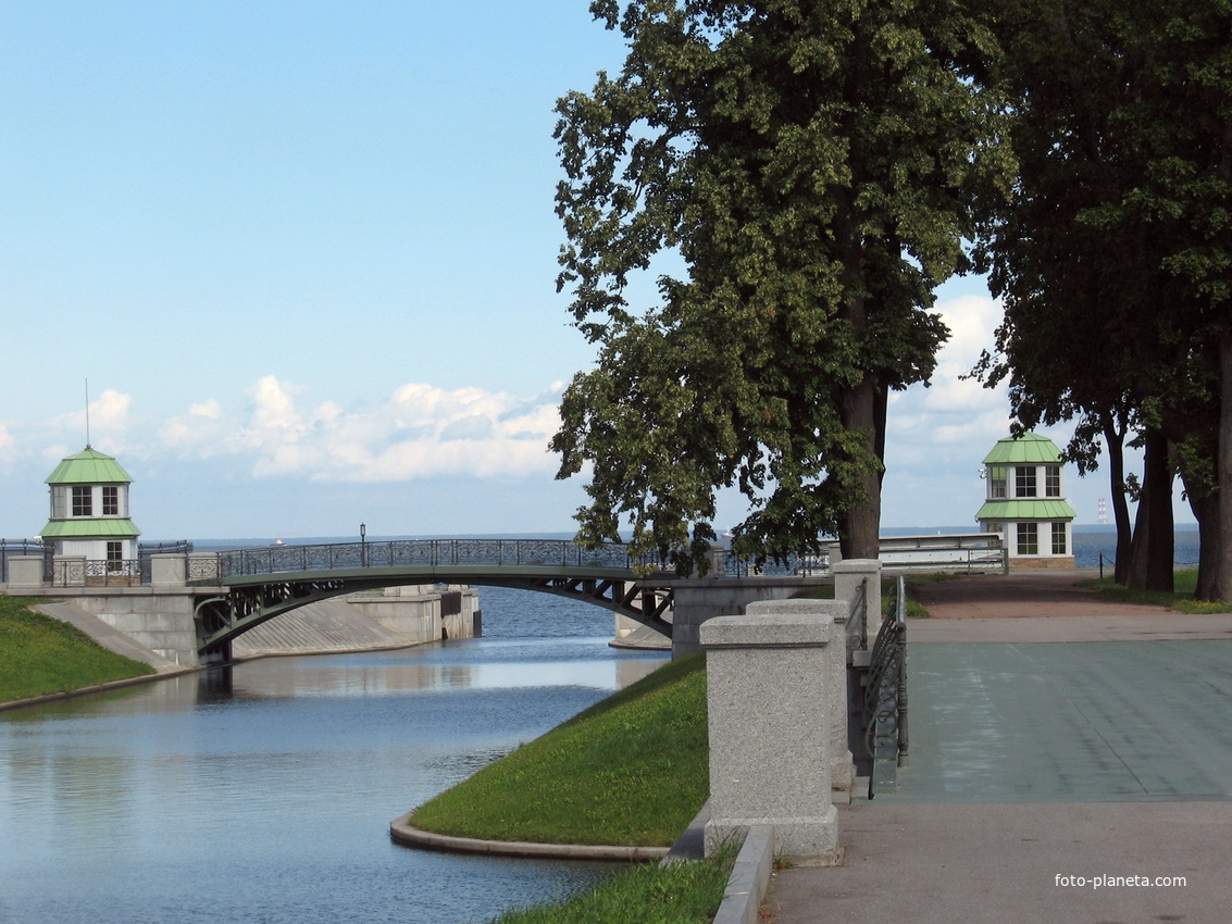 Водная артерия парка