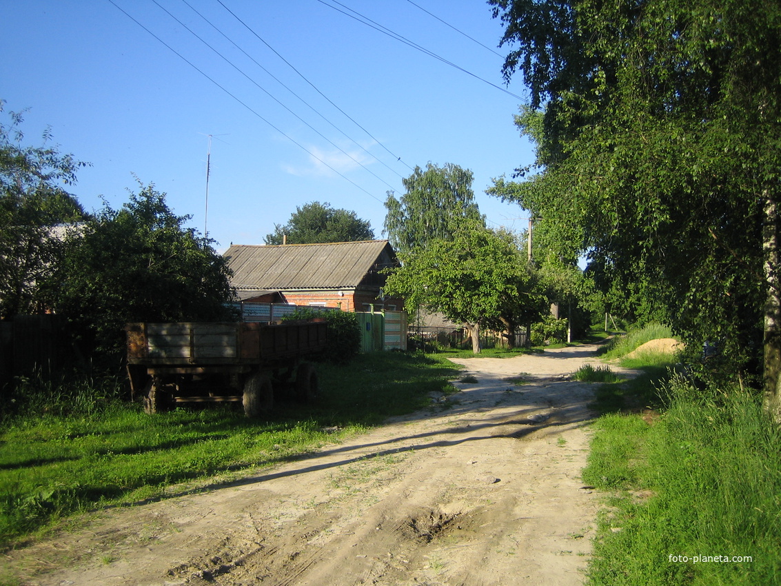 В бывшем панском саду