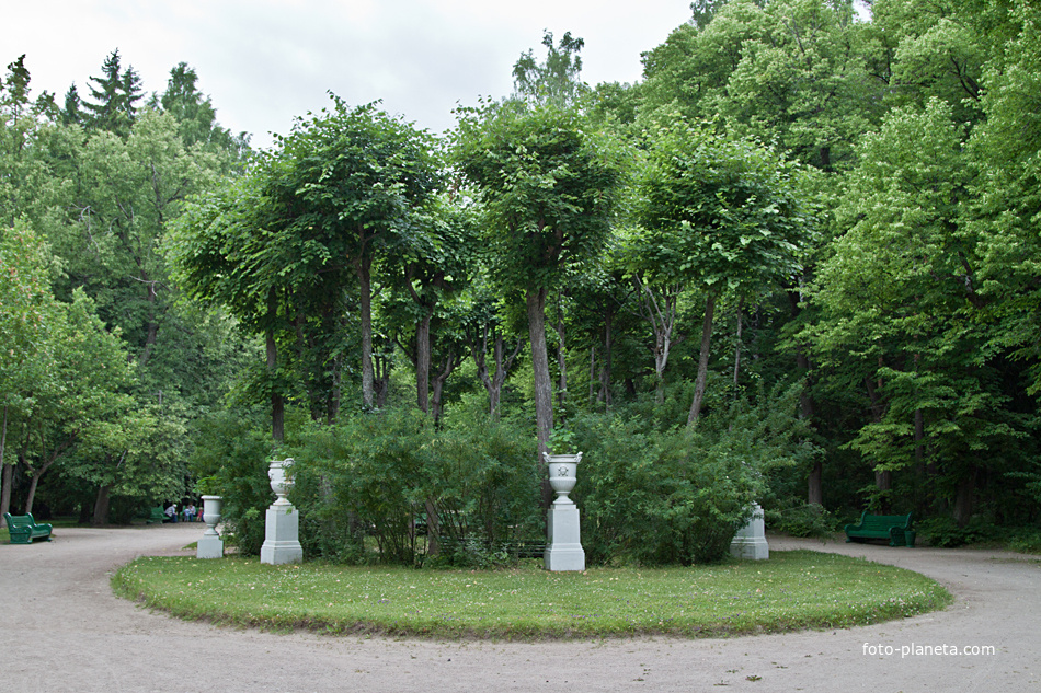 В Павловском парке