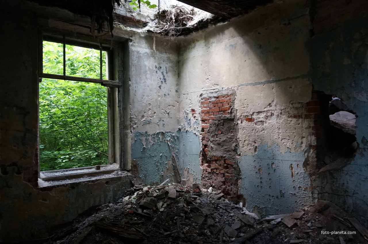 В доме Липгарта