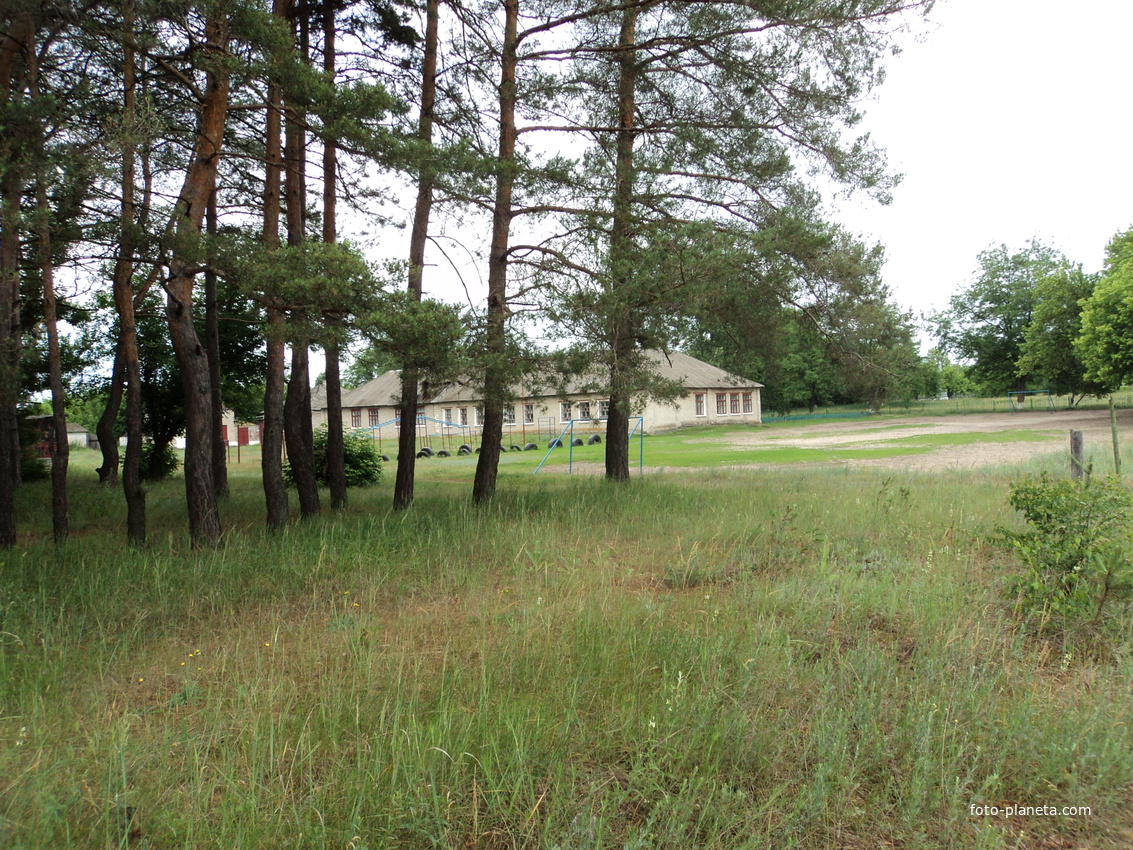 Лес возле школы (Житловка)