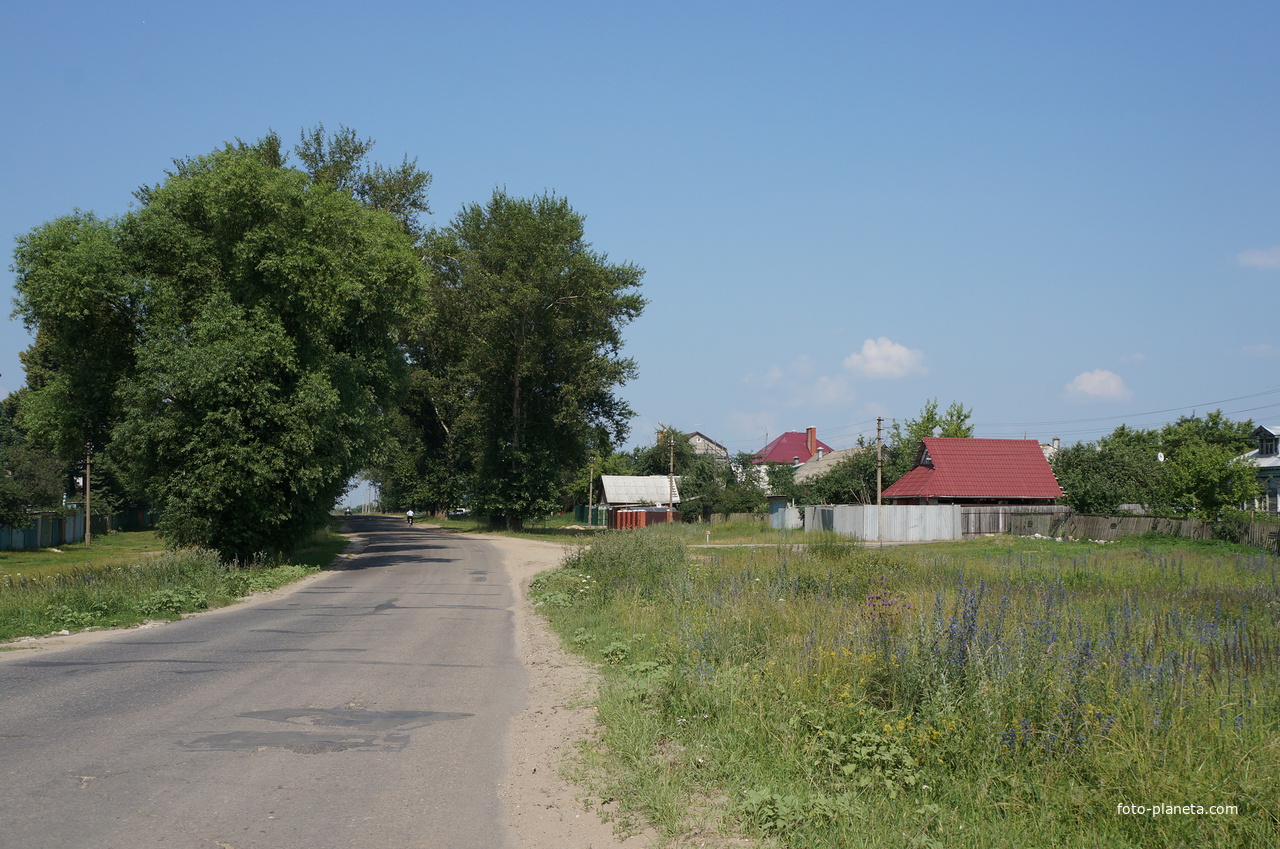 Полянка (Коломна)