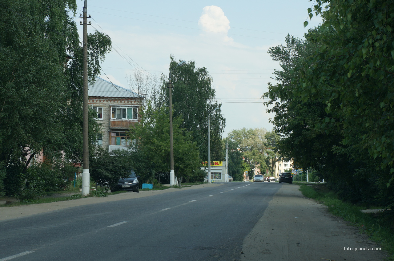 Ларцевы поляны коломна фото