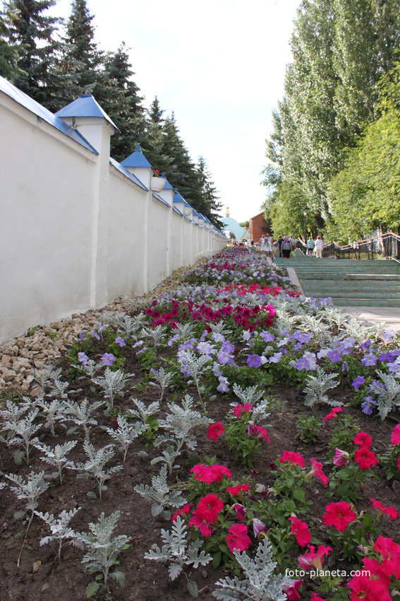 Свобода. Курская Коренная Рождество-Богородичная мужская пустынь.