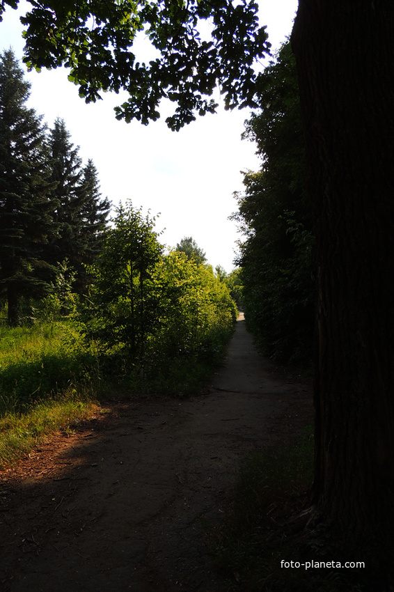 Тротуар на Дачной