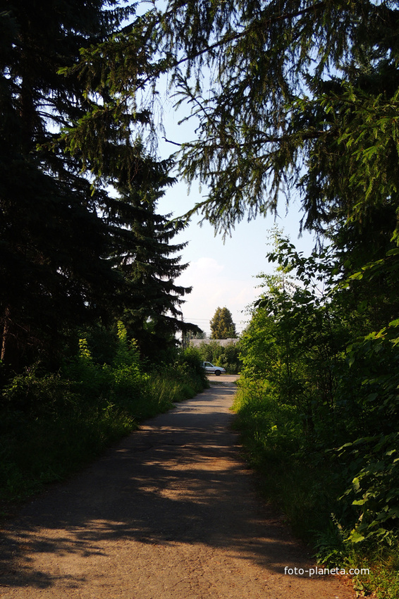 Парковая аллея в Щурове