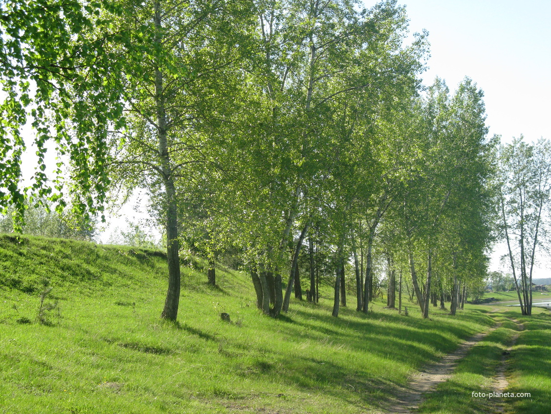 Хлоптуновские барки