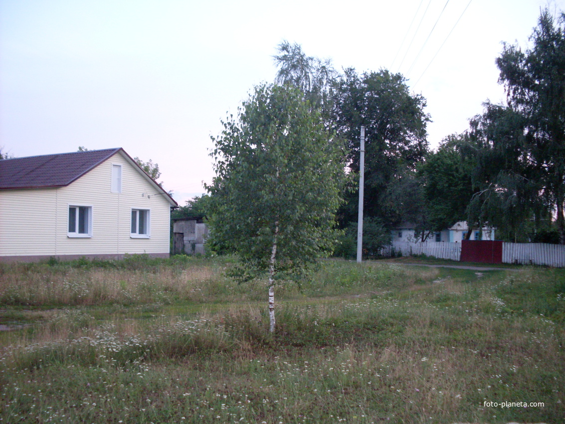 с.М.Круполь. Береза