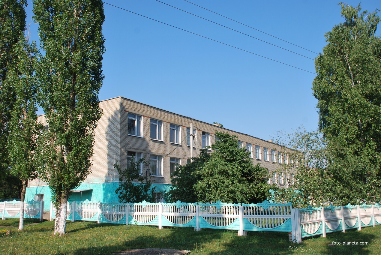Большеполянская средняя школа