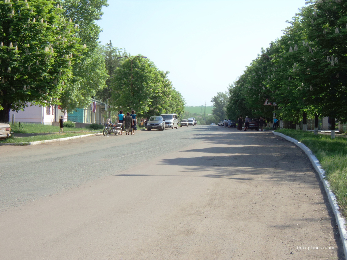 Села днепропетровской обл. Село Привольное Солонянского района Днепропетровской области. Солонянский район Днепропетровской области село Шестиполье. С Новопокровка Днепропетровской обл. Днепропетровск Солонянский район село Новопокровка.