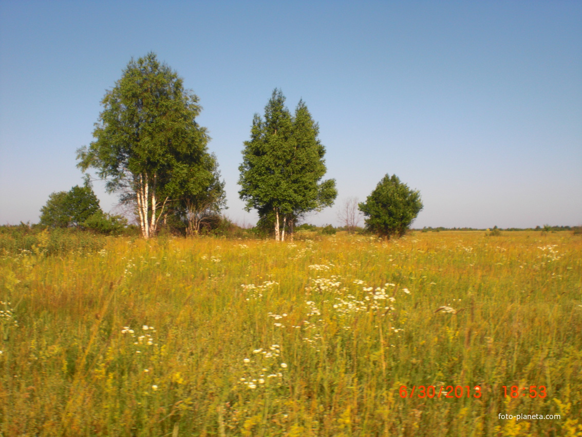 родные просторы