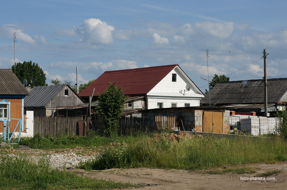 Коломенская, лето 2013