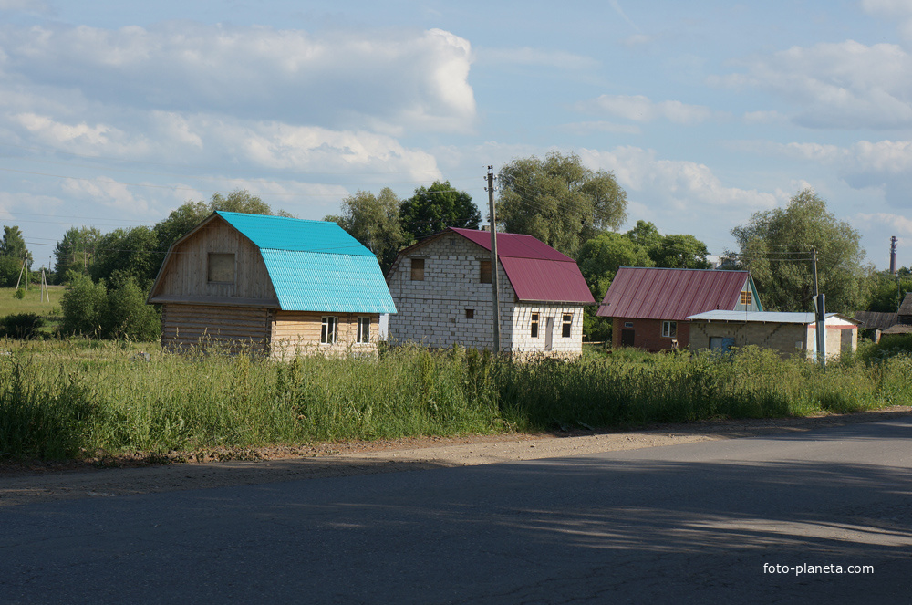 Дома в деревне Коломенская