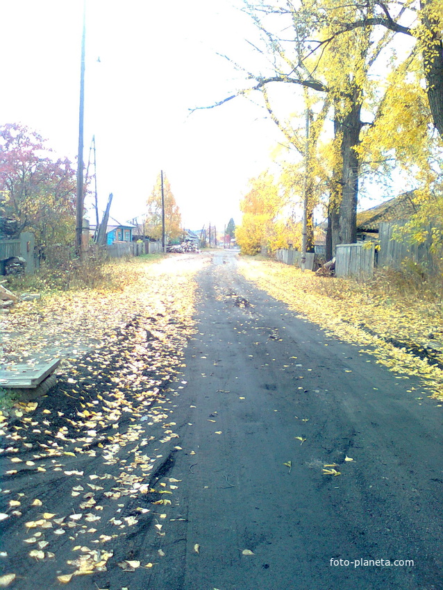 пгт. Сузун. ул. Панфилова