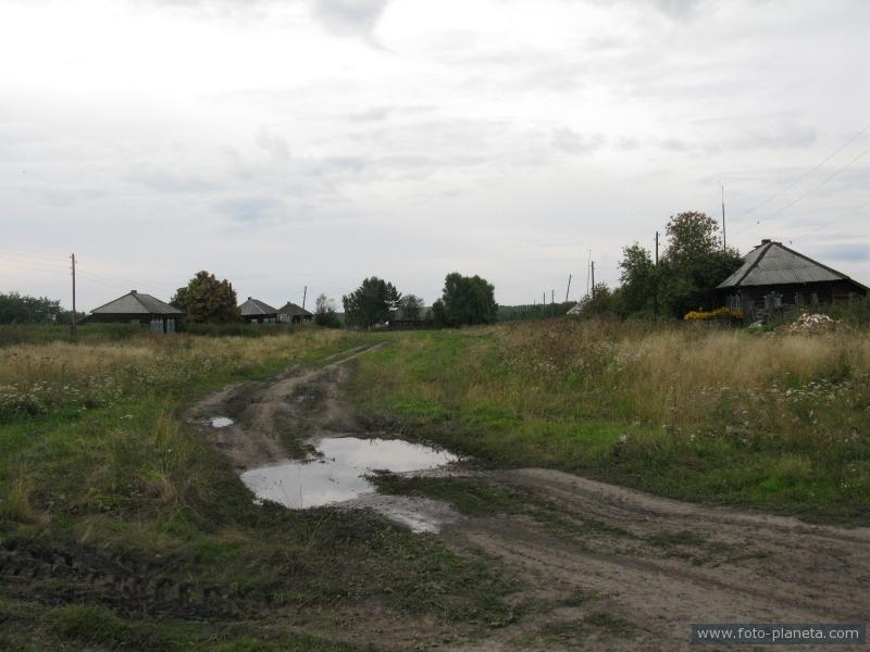 Деревня Тихеевка 2008 г.