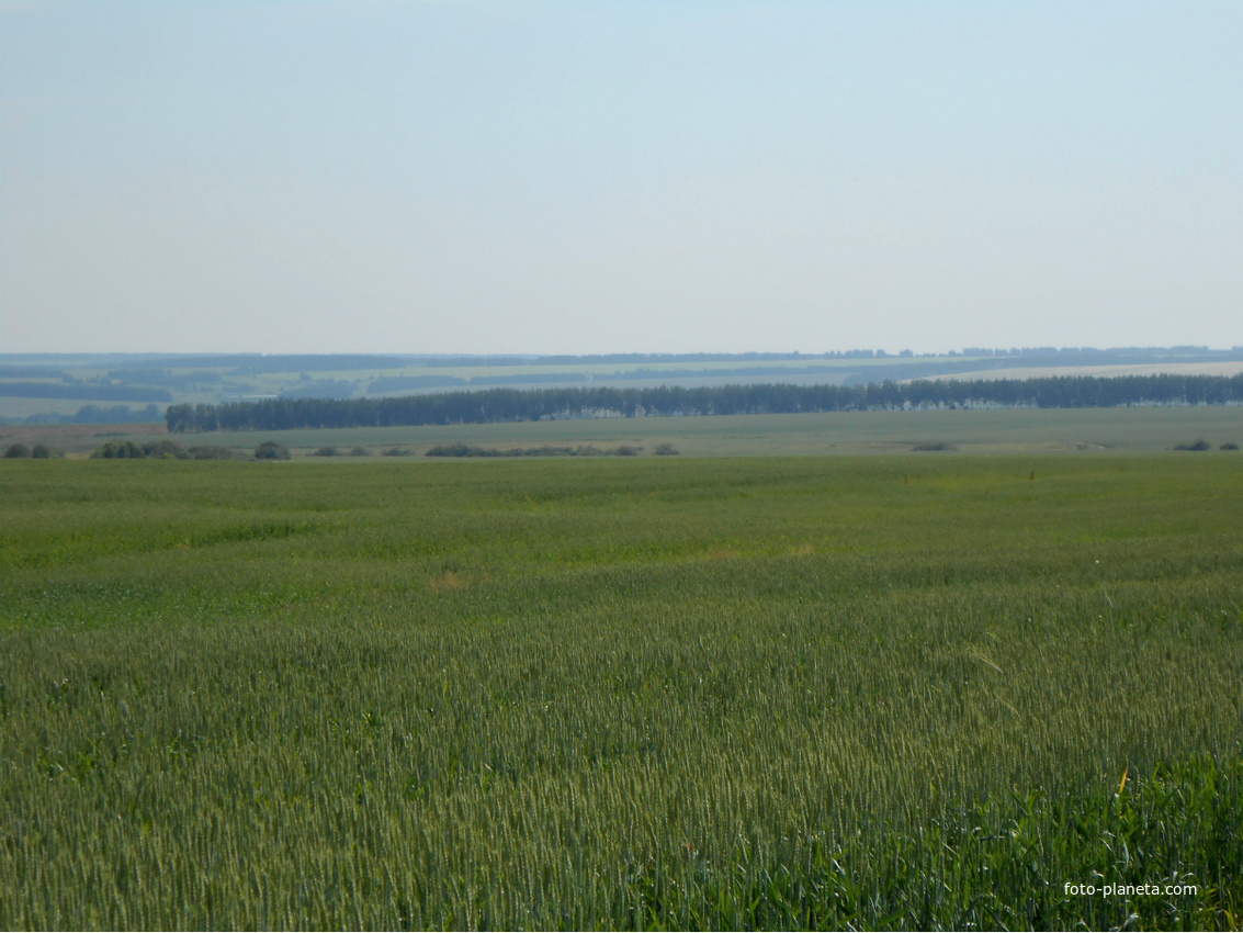 Панорама с дороги. Пруд &quot;БАМ&quot;, Владыкино...
