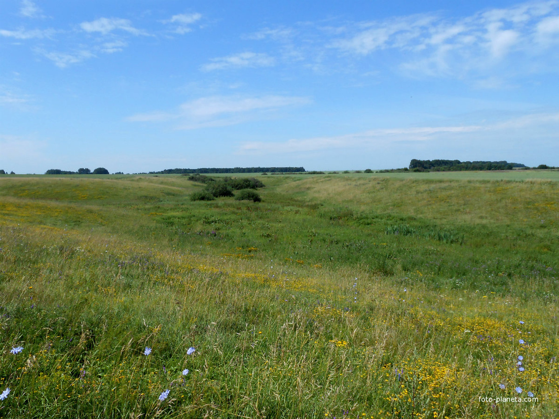 Панорама на орешник и Архаровскую посадку