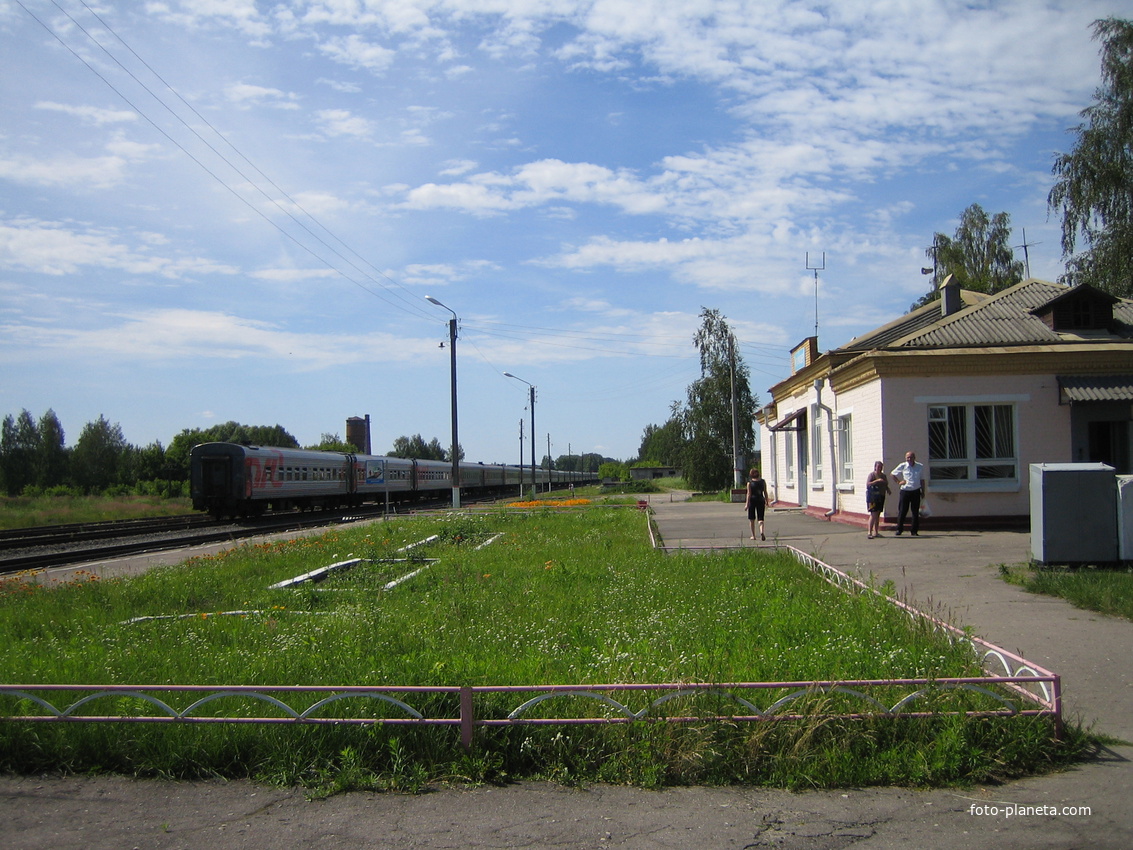 Поезд Климово-Москва