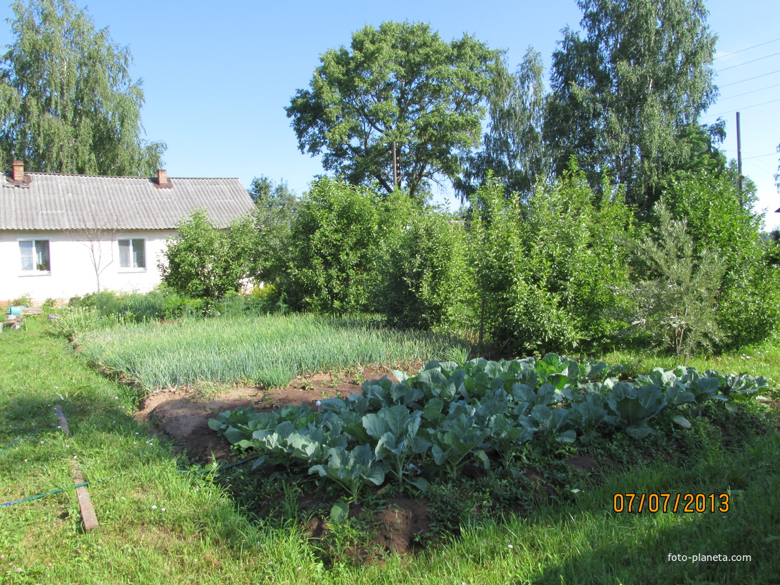 Огород у дома