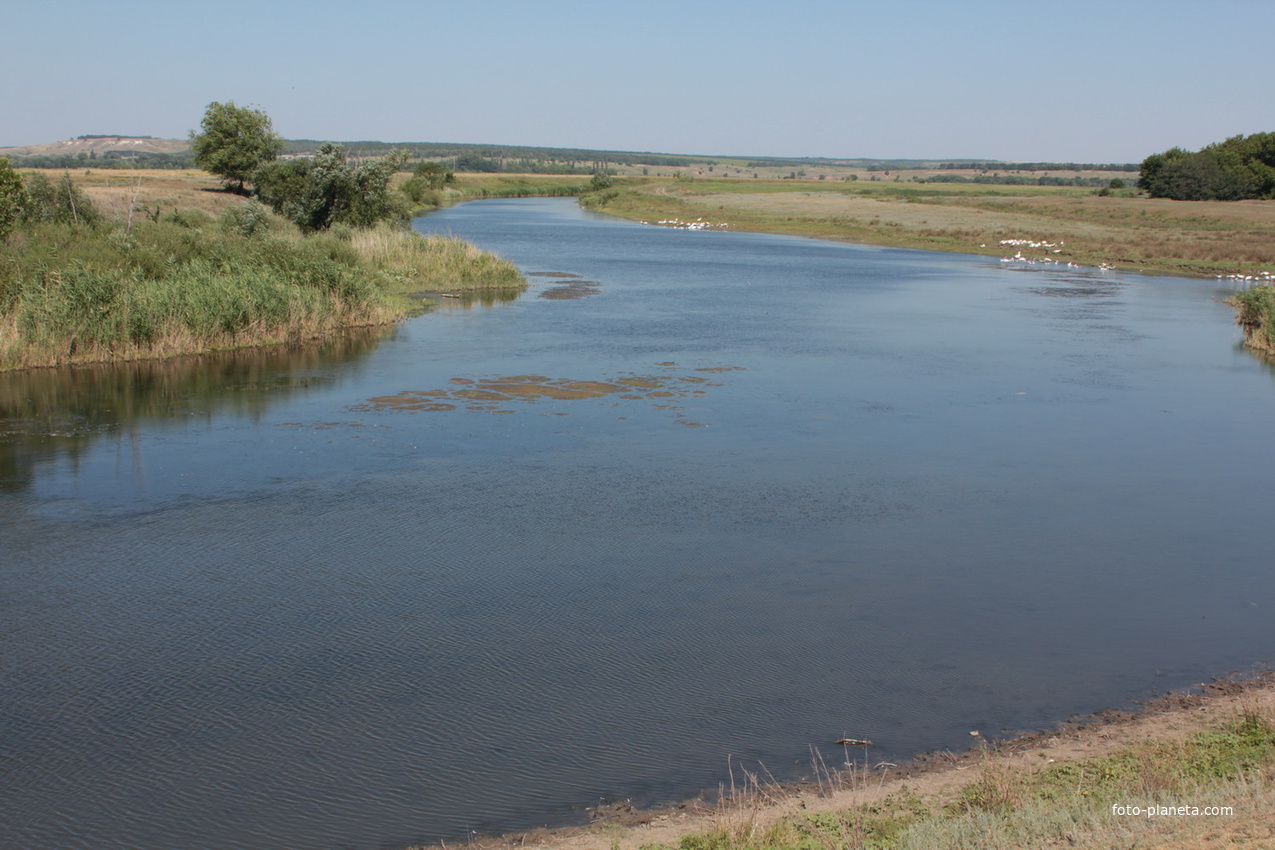 река Быстрая у восточной окраине хутора Гринев