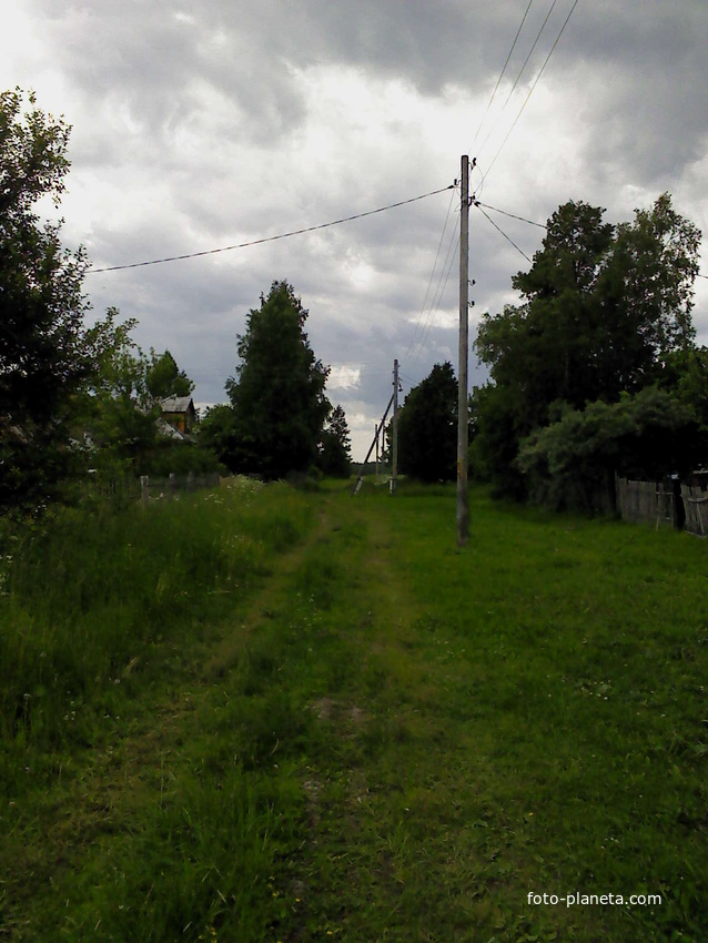 деревня Козицыно июнь 2013 г.