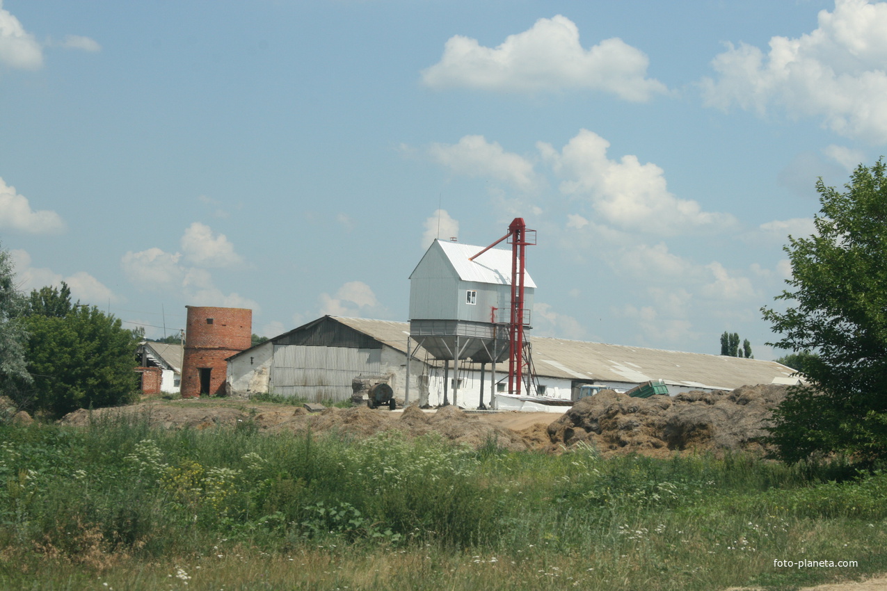 ферма широкого берега