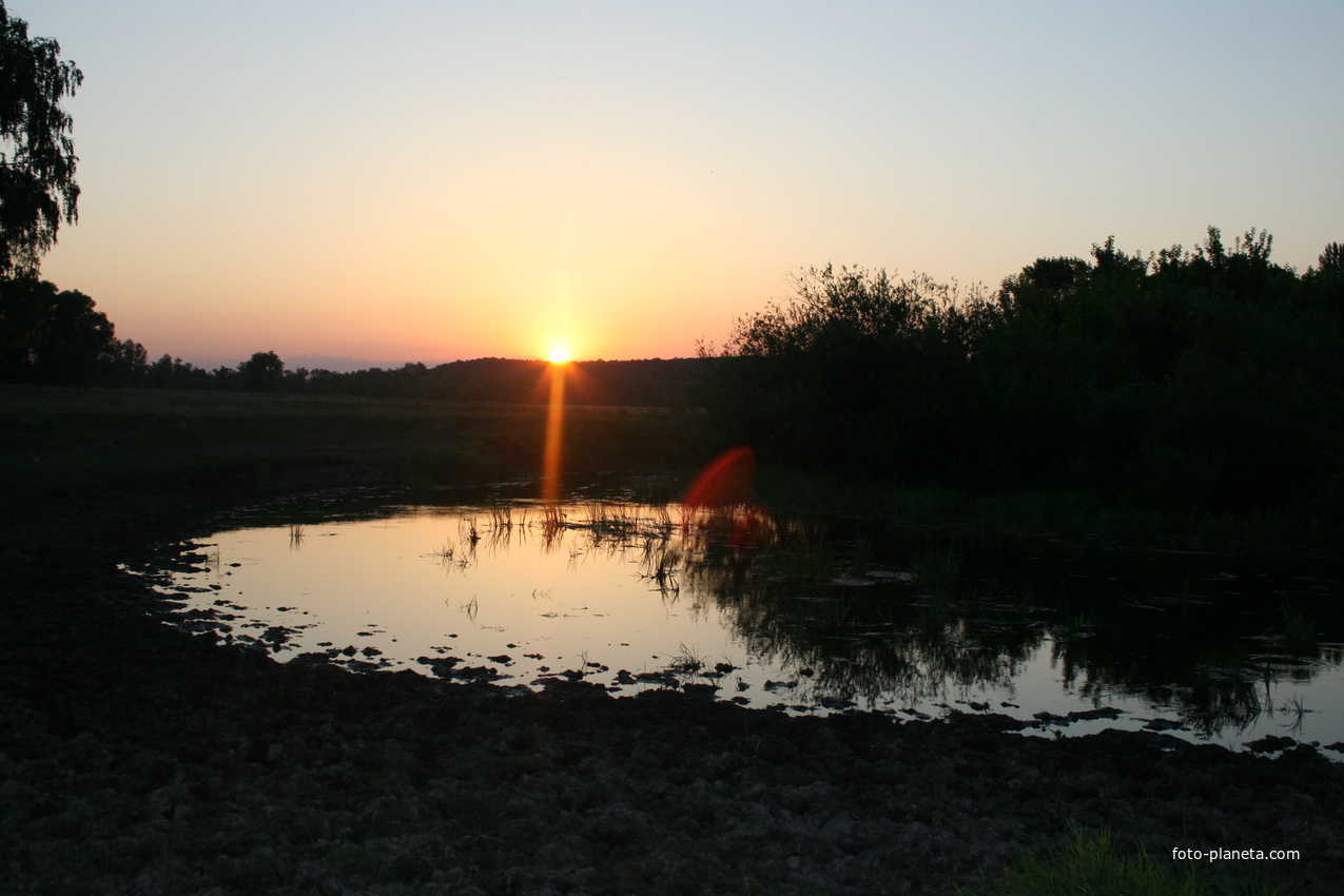 коровы, лошади, река - неужели все это было
