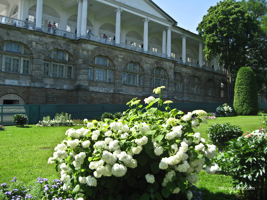 Фрейлинский садик