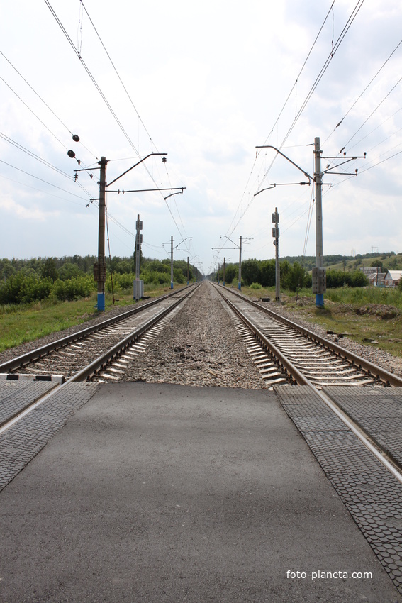 Питомник беломестное белгород