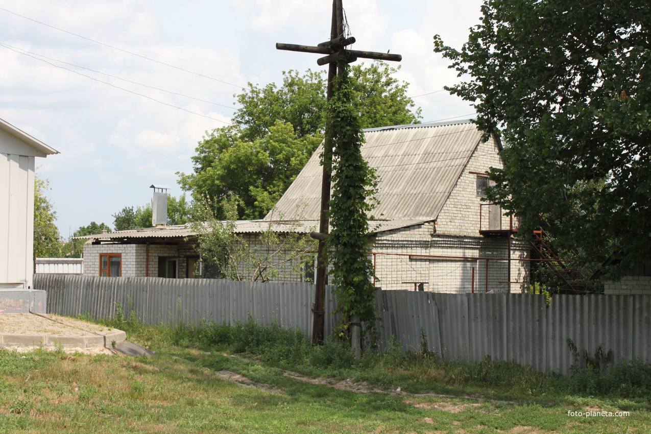 Беломестное.