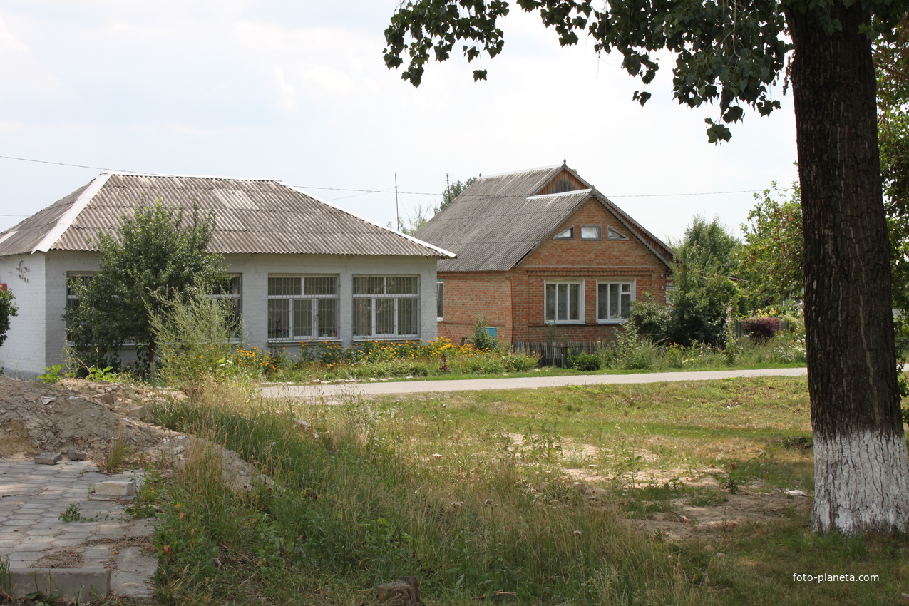 Беломестное.