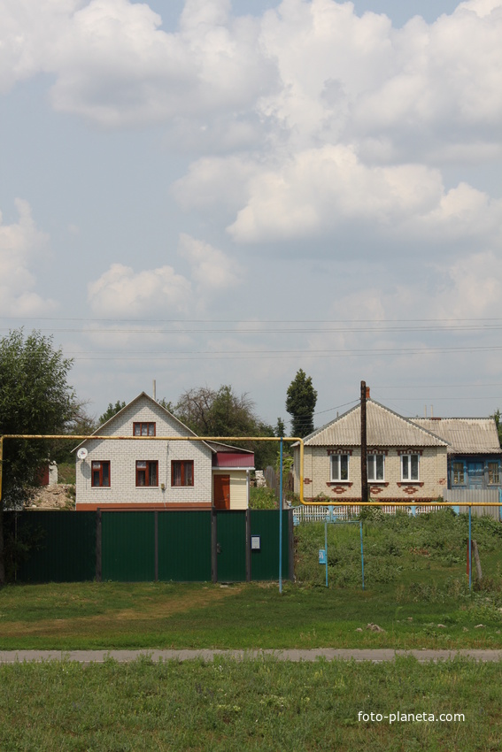 Беломестное.