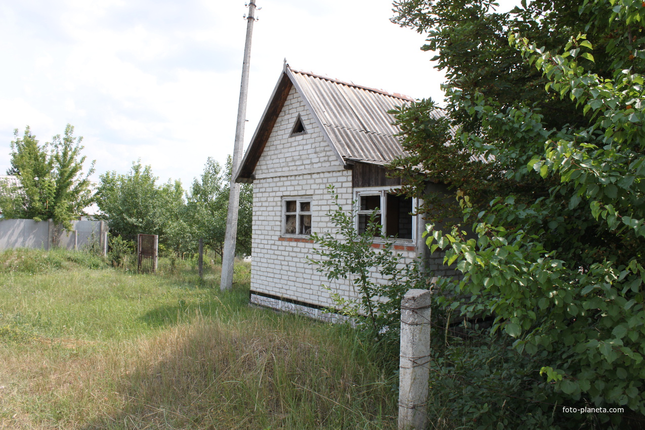 Беломестное. Ул. Центральная.